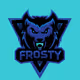 FROSTY-STORM