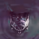 TheFlyingVyse