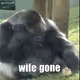 B_Memes