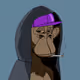 Howie_Zebra