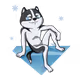 kosssamoka