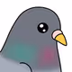 lethalpigeon