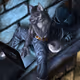 Wolcheg