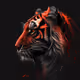 REDTIGERBLACK
