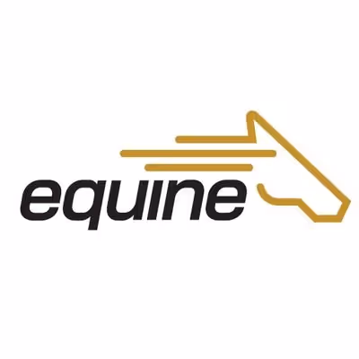 OpenSea profile picture for @Equine