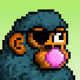 rarepepi