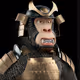 OnlytheSkip