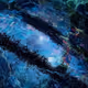 Xunivers