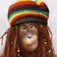 WeedJones