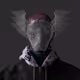 Slaughterer