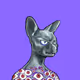 0x592edbbb93a74d4a9cde0d22a209e29bd0f4432e
