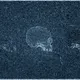 DYORrhea