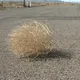 ImTiredBoss