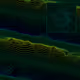 0x59b979d3ee04c9e3d0decd537aa5995ce7116e99