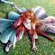 Fallenangel226