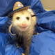 Possum80
