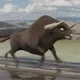 LongHaulXpress