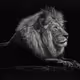 Andrey2807