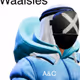 Waalsies