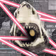 MoniChrome2