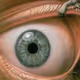LACryptoArtist