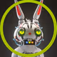BAGGZZBUNNY