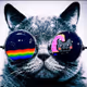 NFTinitcom_cryptolocko
