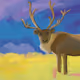 The_Sundance_Kid