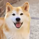 0x5ab3ed95fe715c90c03010ad25d2c09577cf0370