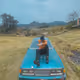 Apdz