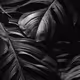 cultivatedincreasing