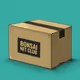 BONSAINFTFARM_Special_Imitation_Box