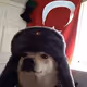 simit