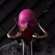 Tilticus
