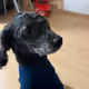 Mrbobkun