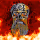 E6LBEARD