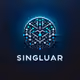 SingularStudio