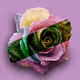 pixelucci