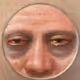 daylatebuckshort