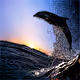 casper_btc