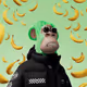 COCOQ
