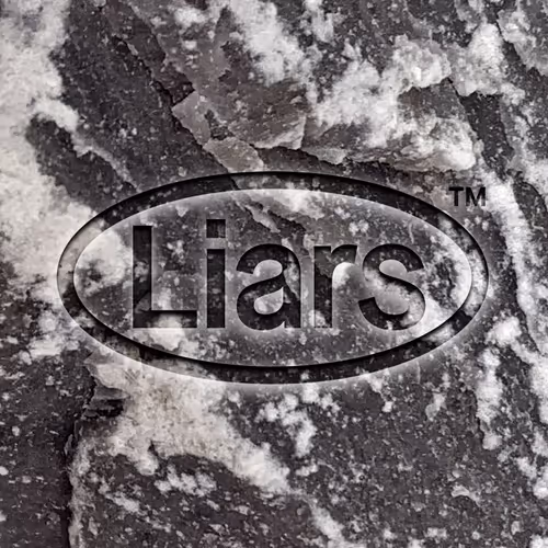 OpenSea profile picture for @Liars