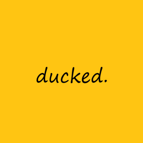 OpenSea profile picture for @ducked