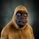 DyMowgli
