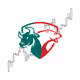FOREXACADEMYSP