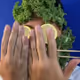 NFTPUNKHUB