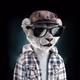 0x5c2277eed4386af9cc80af251a669555a4326c54