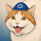 CoolKatz