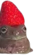 0xrafter
