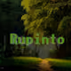 Rupinto